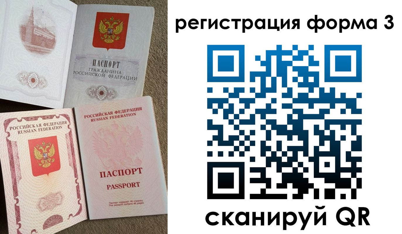 прописка для школы в Александрове